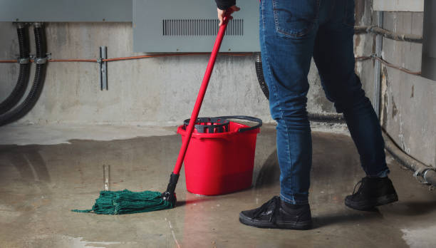 Best Fire Damage Restoration  in Jackson, KY