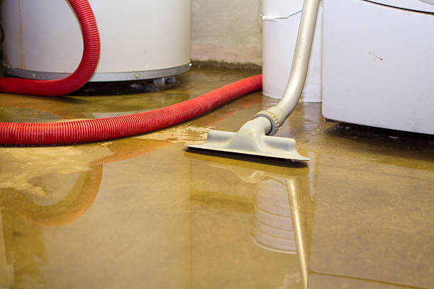 Best Water damage contractors near me  in Jackson, KY