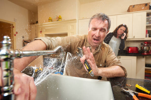 Best Local water damage restoration  in Jackson, KY
